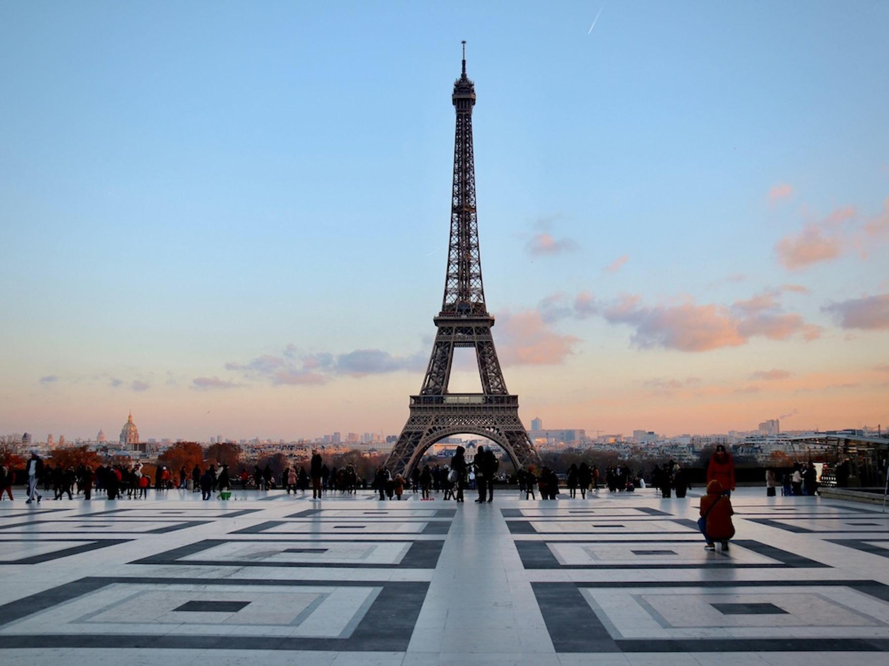 The Eiffel Tower from trocadero