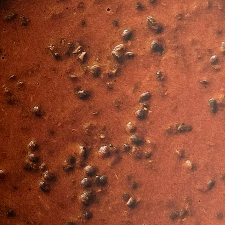 picture of black beans sauce