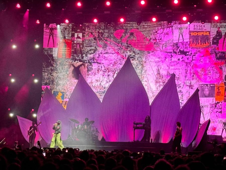 Simz in hoodie and wearinga hat, behind her are lotus leaves and art that looks like a wall full of posters