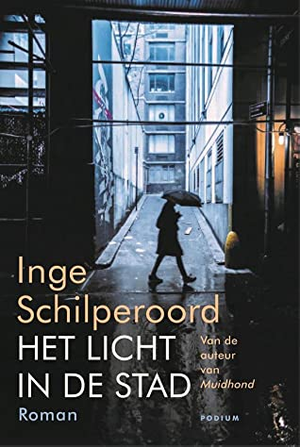 Het licht in de stad 