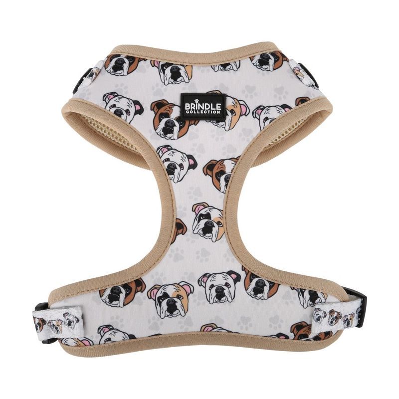 Neoprene Dog Harness, Medium