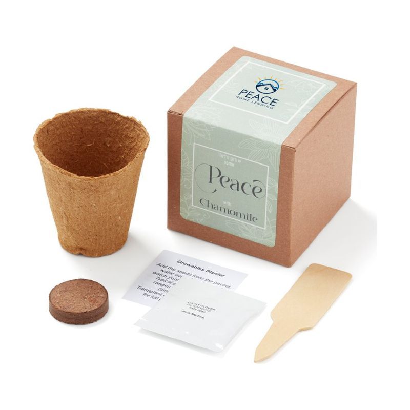 Grow Some Peace Planter in Gift Box