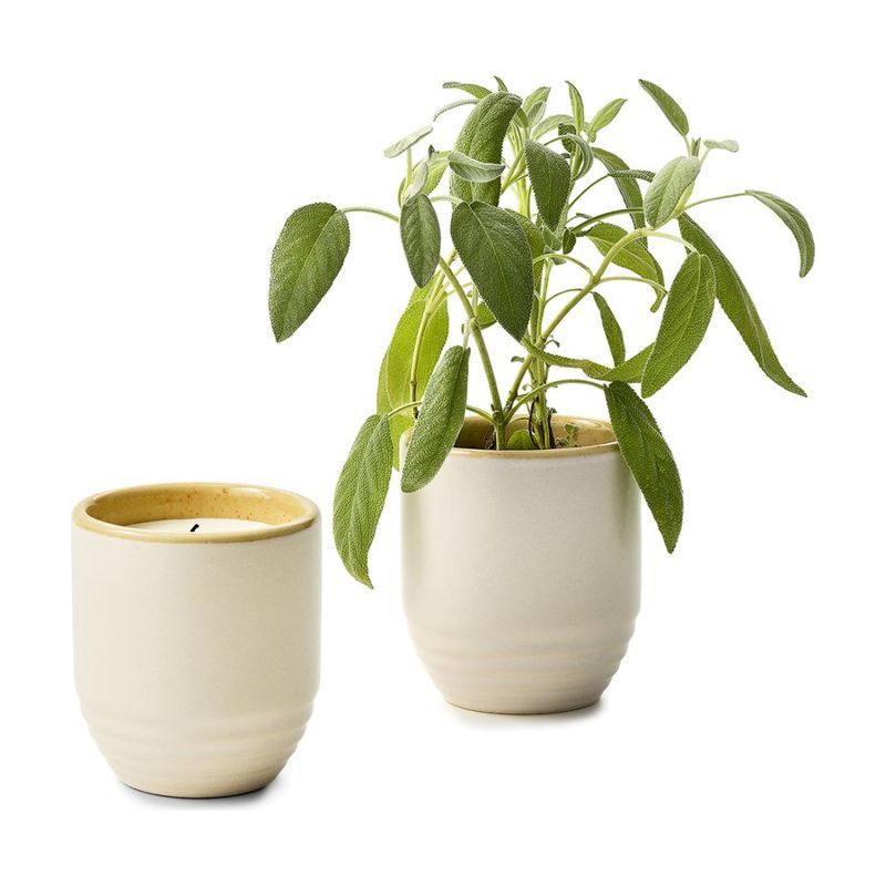 Garden Vibes Candle and Planter
