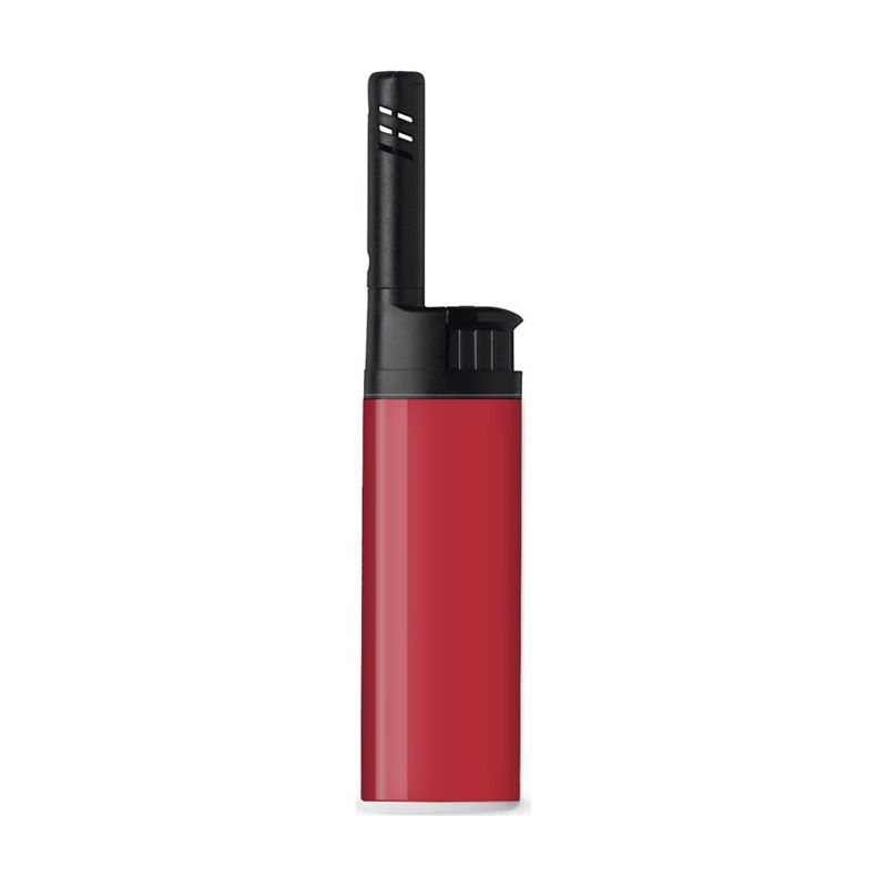BIC EZ Reach Lighter