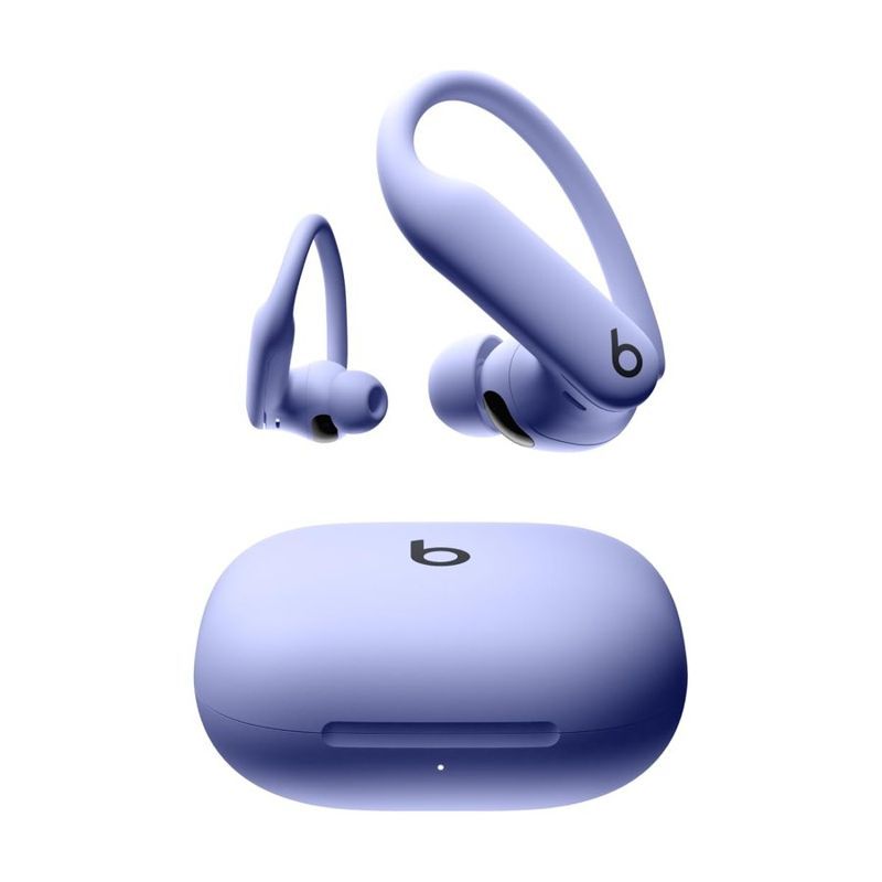Beats Powerbeats Pro 2 Wireless Earbuds