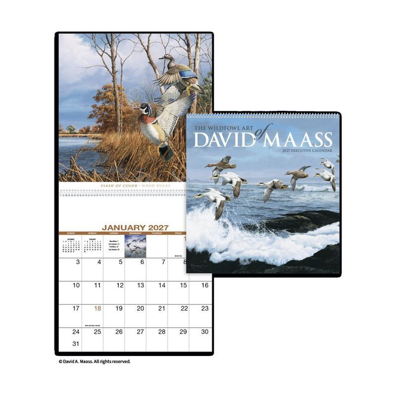 David Maass Executive Calendar