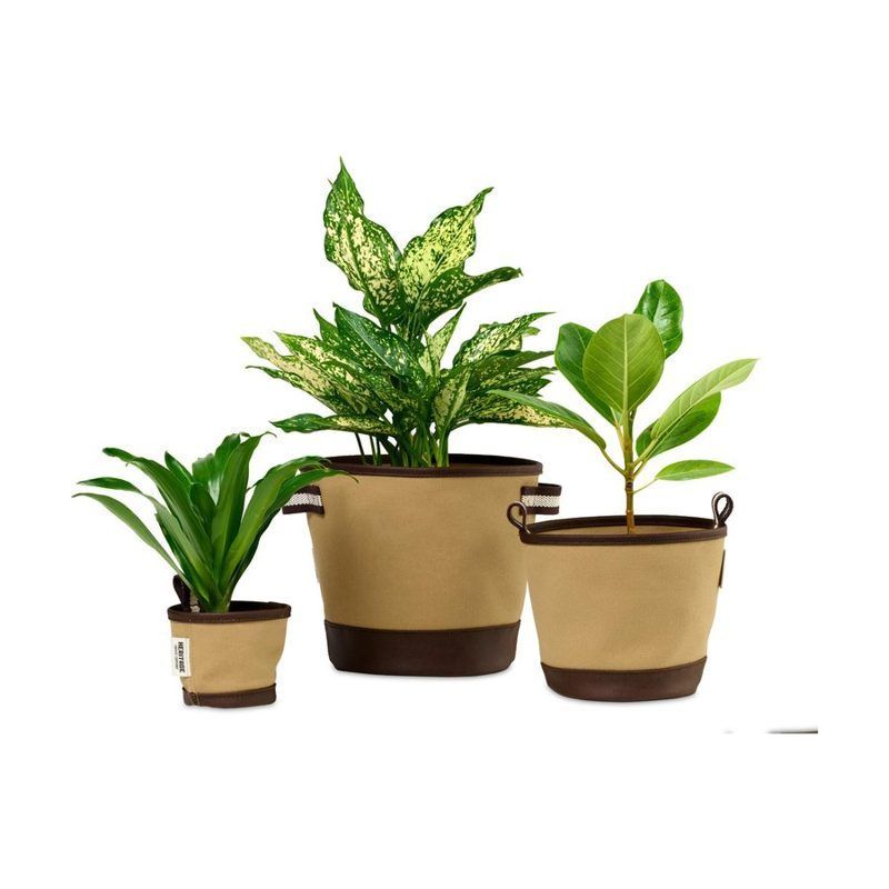Fabric Plant Grow Pot Trio
