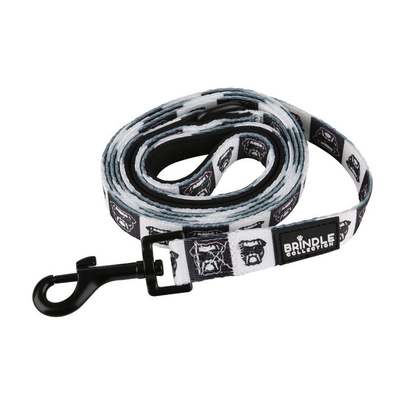 Dog Leash with Neoprene Backing