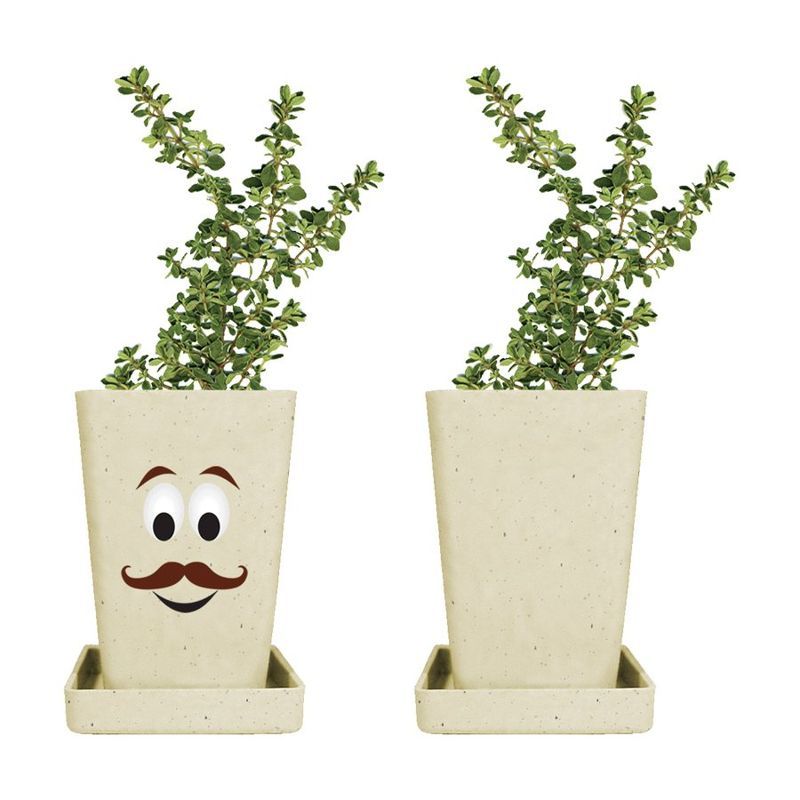 Expression Promo Planter USA 1-Pack