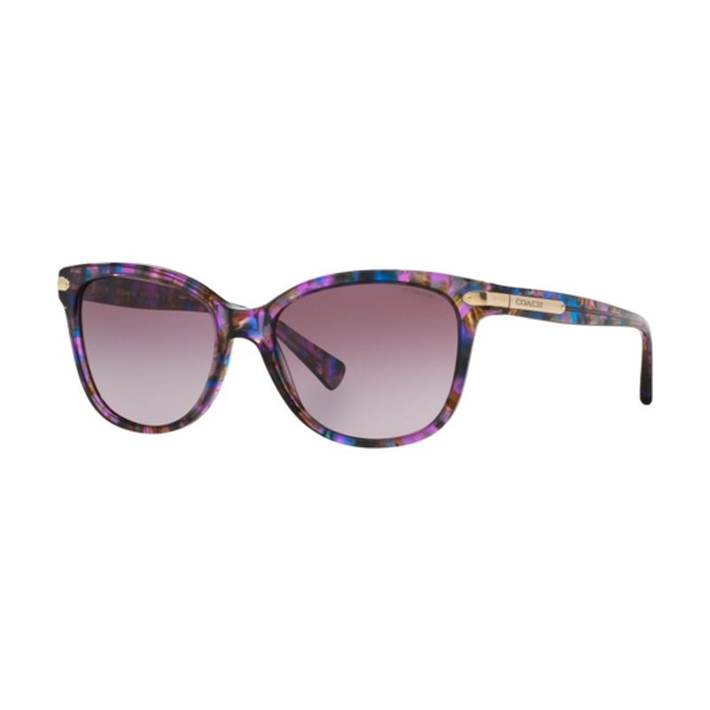 Coach Women's HC8132 Sunglasses