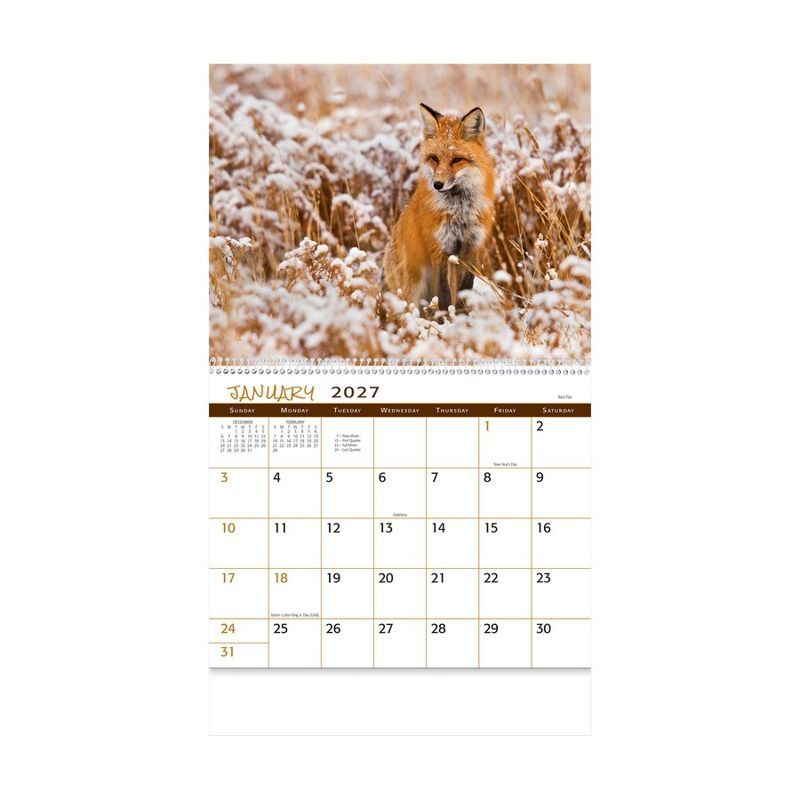 Wildlife 2027 Spiral Bound Wall Calendar