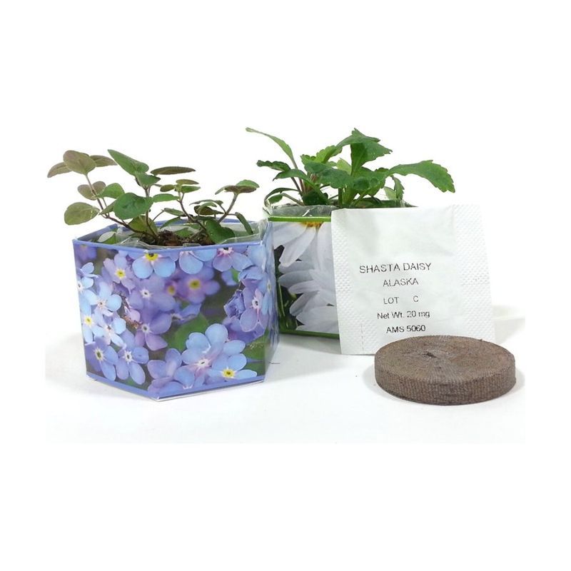 Forget Me Not SeedGems Paper Planter