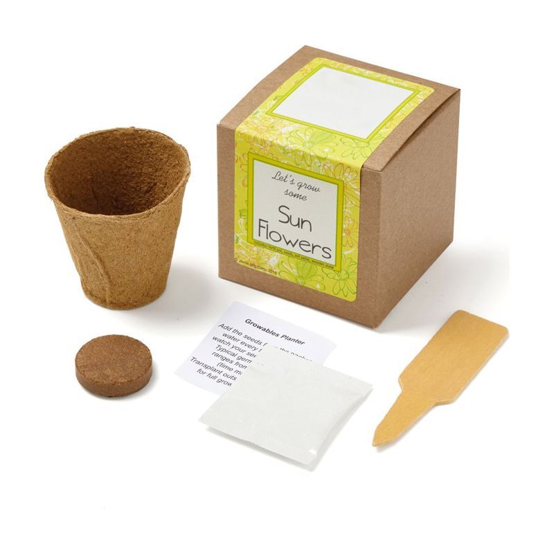 Sunflower Growables Planter in Kraft Gift Box