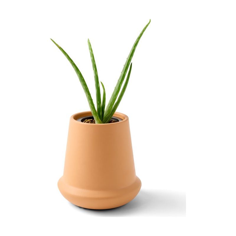 Modern Terracotta Grow Kit, Aloe