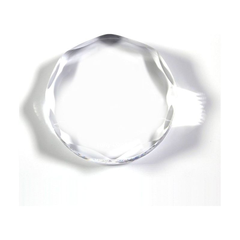 Scalloped Circle Paperweight Award 4 in Laser