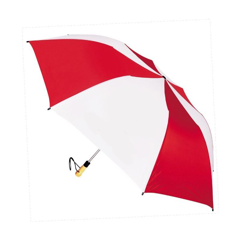 Big Storm Auto Folding Umbrella