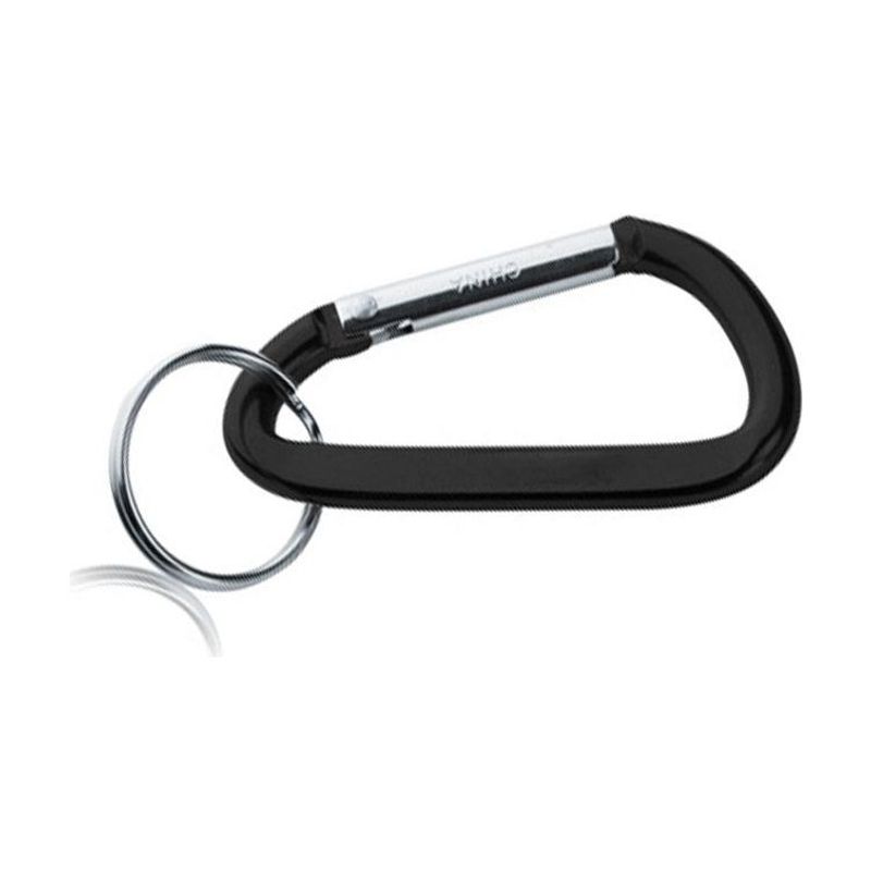 Metal Carabiner Keychain