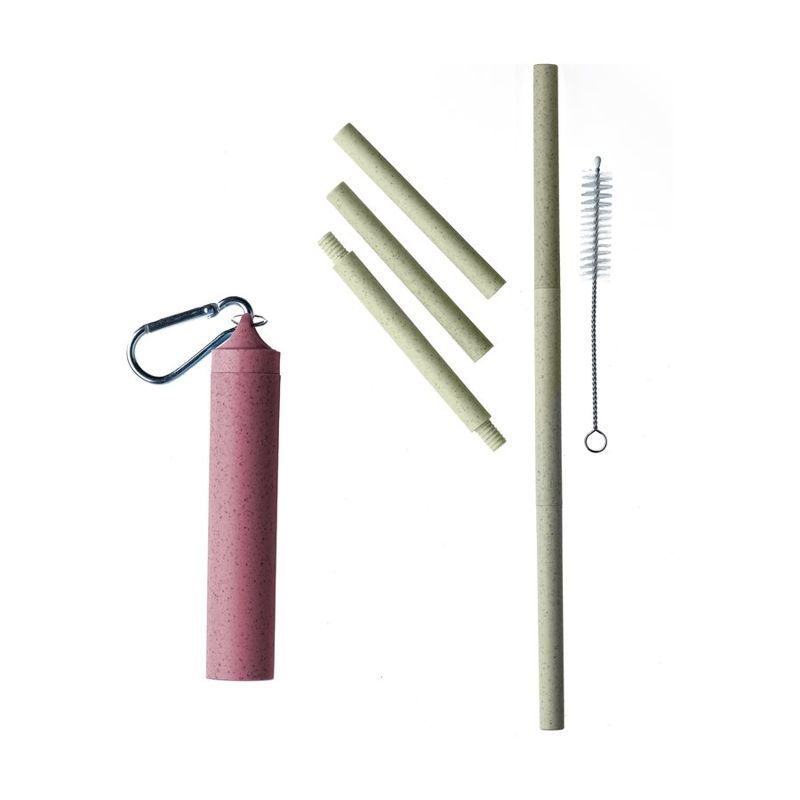 Wheat Straw Reusable Straw Keychain Set