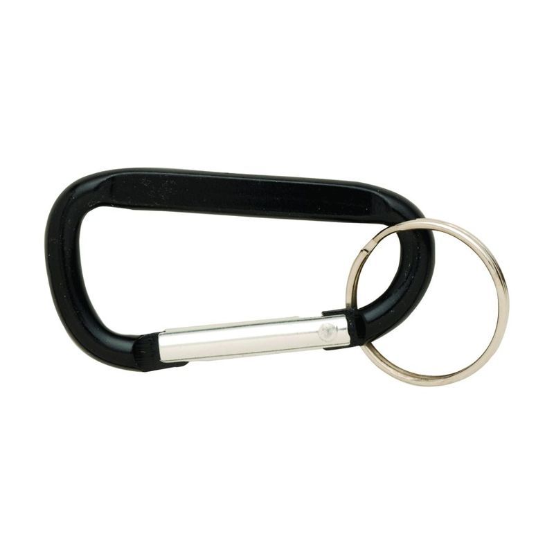 Carabiner with Keyring
