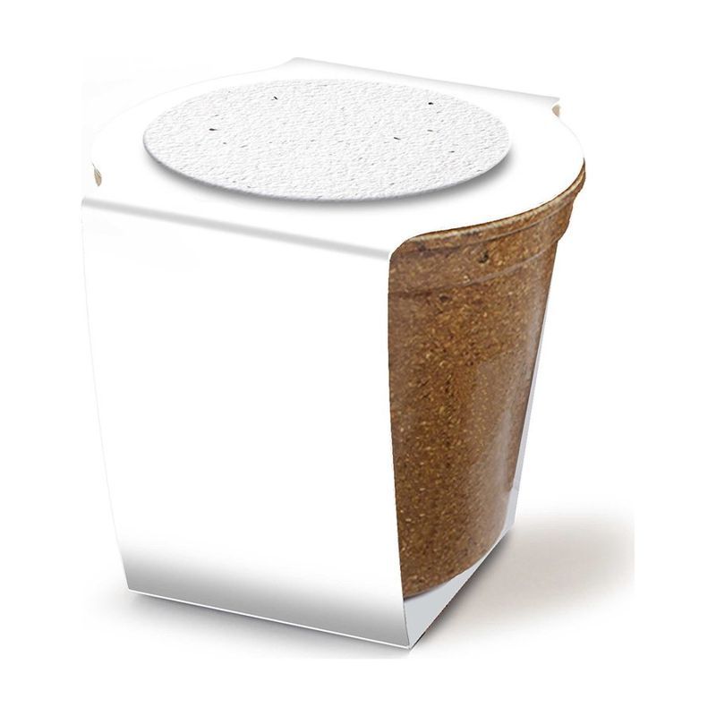 Mini Planting Kit