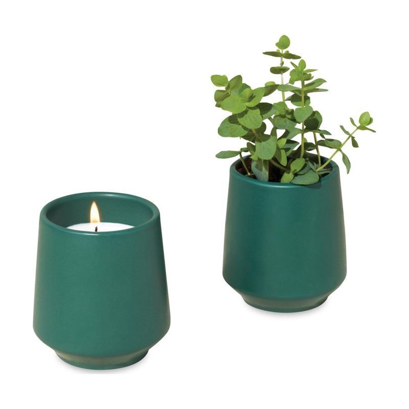Rooted Candle with Seed Packet