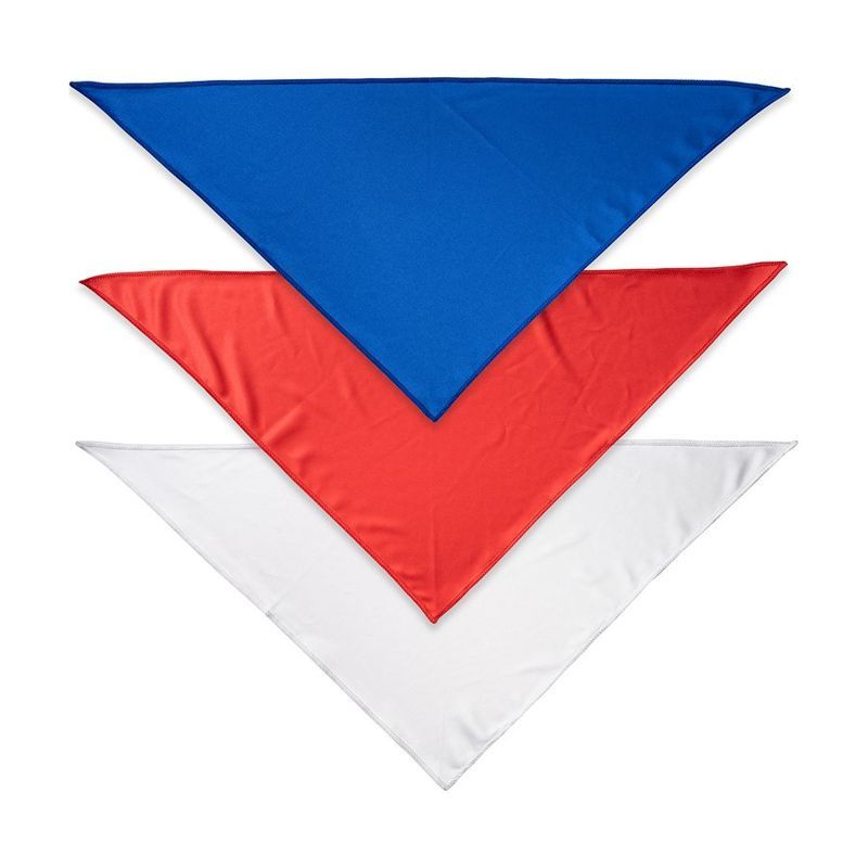 Custom Dog Bandana