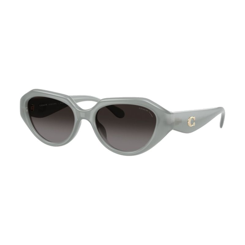Coach Women's Polarized HC8433U Sunglasses