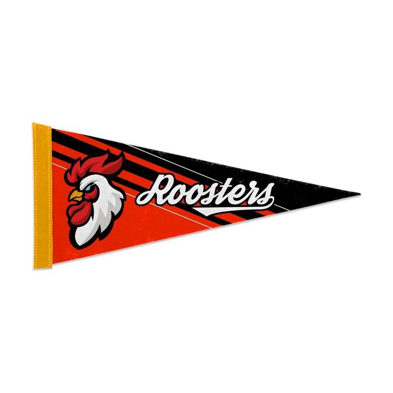 17" x 40" Full Color Felt Pennant, Solid Back