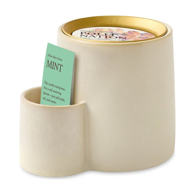 Earth Candle and Self-Watering Planter