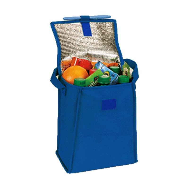 Foldable Insulated 6 Pack Lunch Cooler Bag