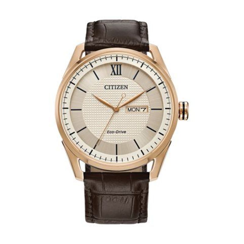 Citizen Men's Classic Brown Leather Strap Watch