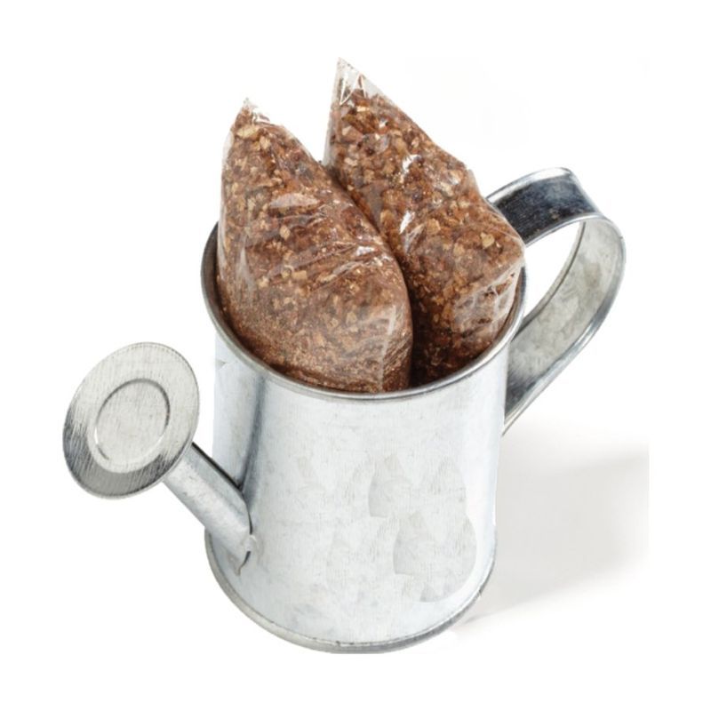 Watering Can Planter with Seeds