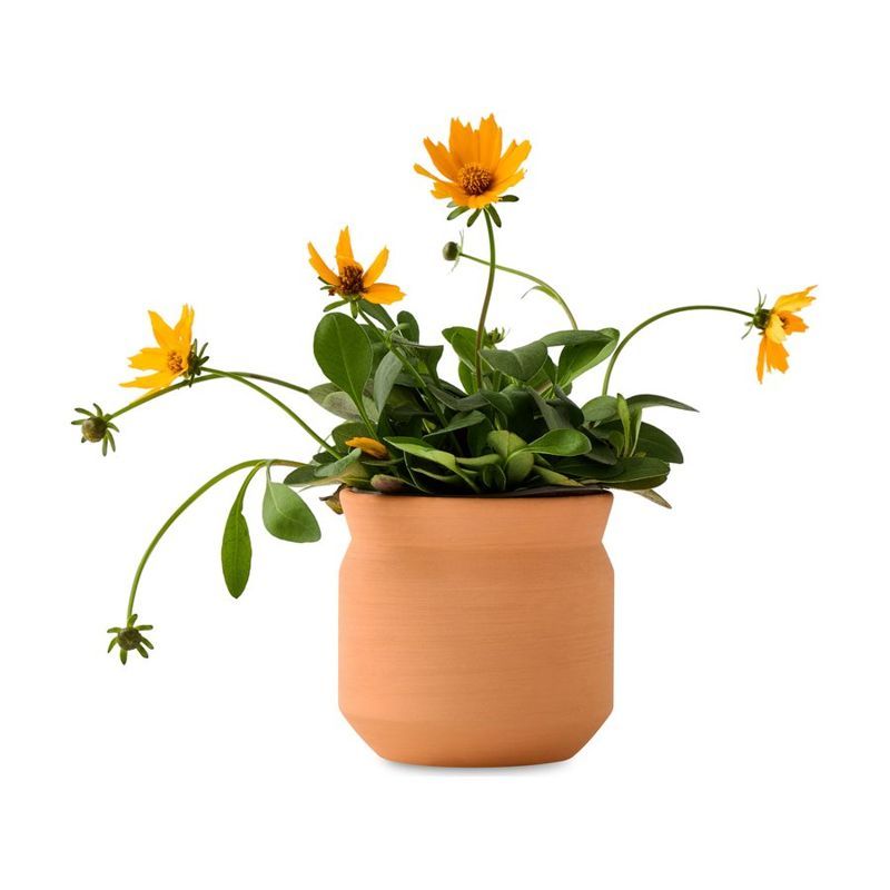 Tiny Terracotta Grow Kit Thank You