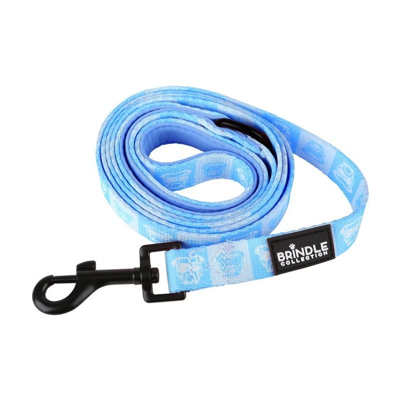 Wide Dog Leash with Neoprene Backing