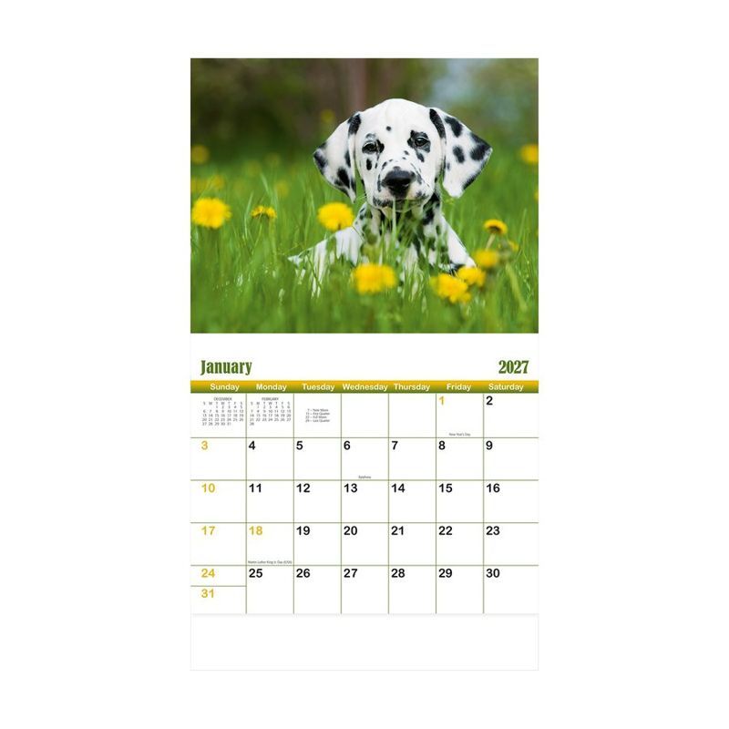 Puppies and Kittens 2027 Stapled Wall Calendar