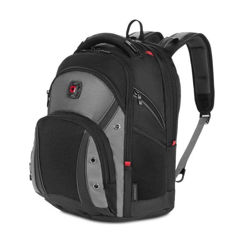 Wenger Synergy Pro 16-Inch Computer Backpack