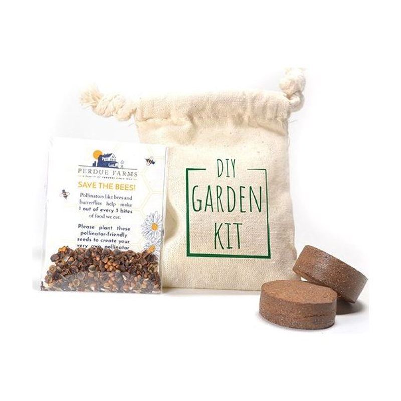 DIY Seed Packet Garden Kit