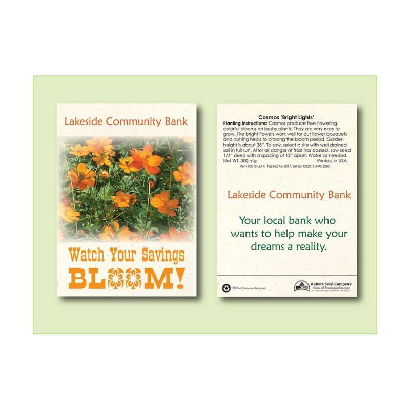 Cosmos Bright Lights Flower Seed Packet 3.25" x 4.5"