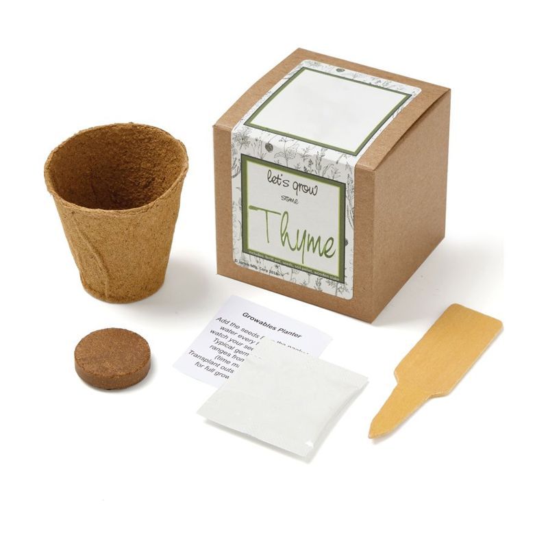 Thyme Planter in Kraft Box with Seeds