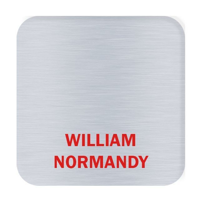 Aspen Metal Name Badge, Custom Size 3 to 6 Sq. In.
