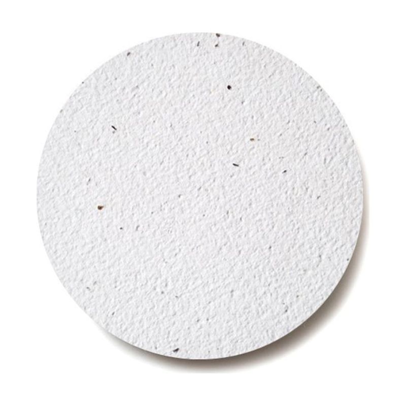 Seed Paper Coaster