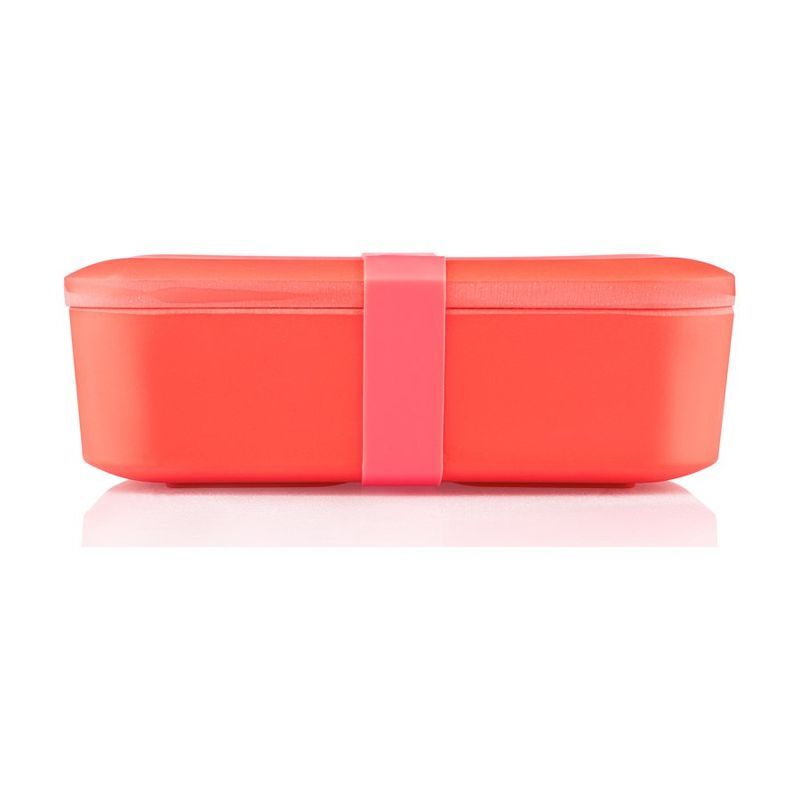 Bamboo Fiber Bento Lunch Box