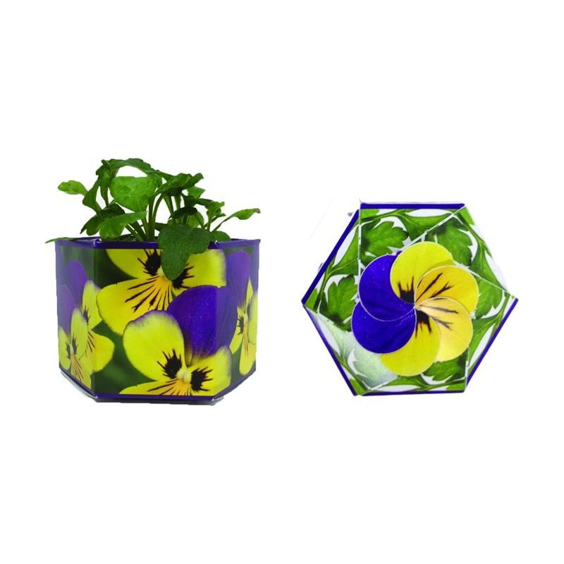 Johnny Jump Up SeedGems Paper Planter