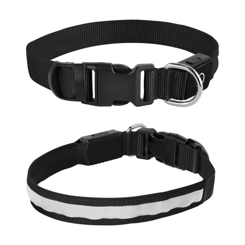 Light Up Rechargeable Pet Collar, Medium