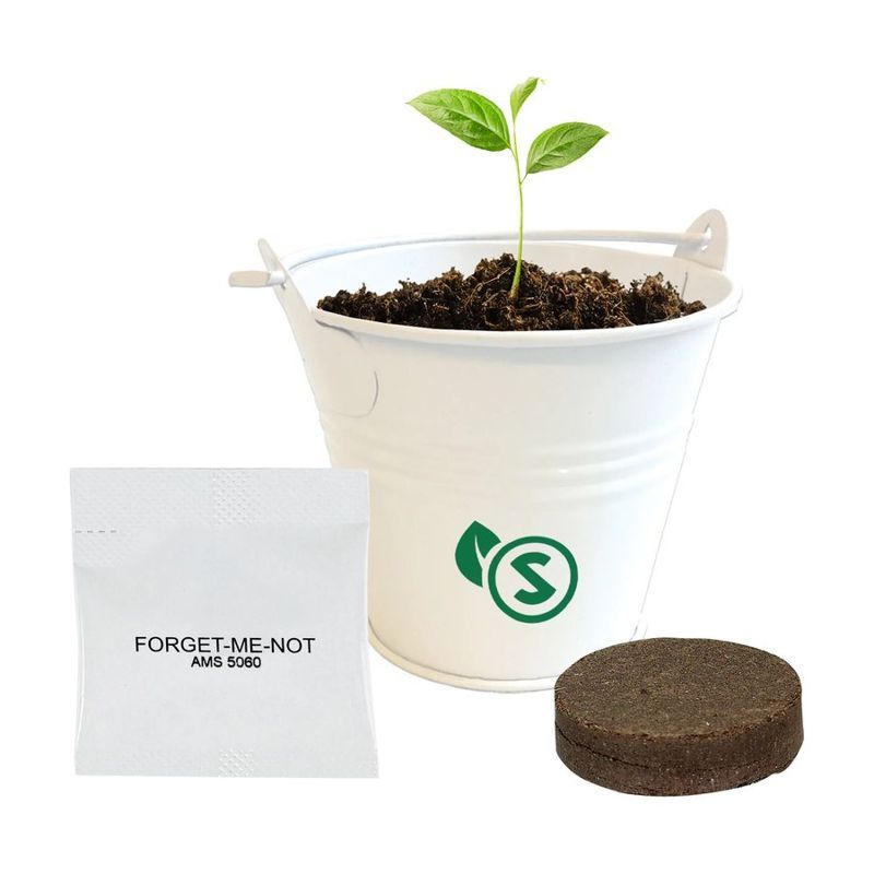 Bucket o' Blossoms Planter Kit