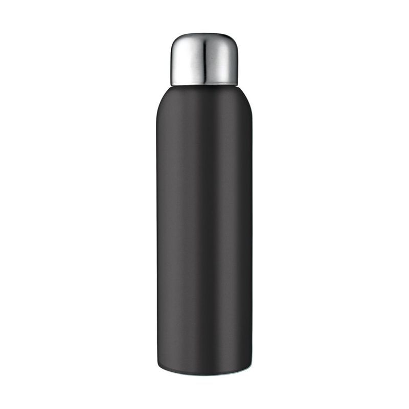Guzzle 28 oz Stainless Sports Bottle