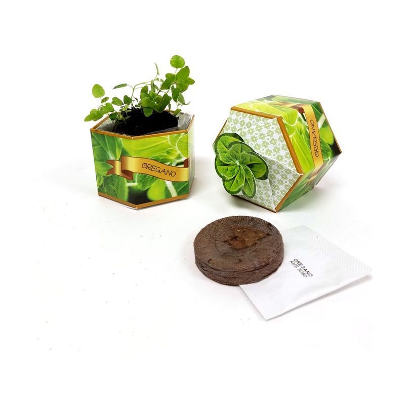 Oregano Herb SeedGems Paper Planter