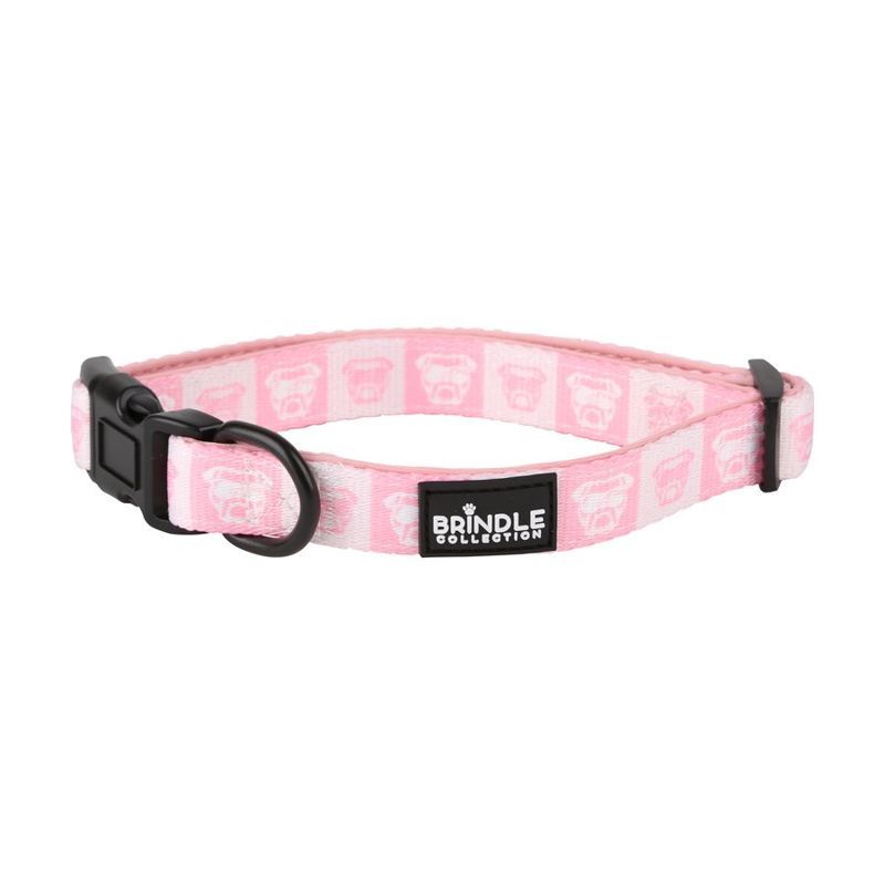 Dog Collar with Neoprene Backing, Extra Small