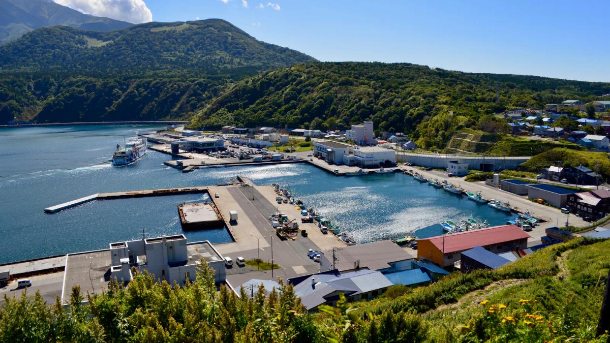 從ペシ岬俯瞰利尻島鴛泊港，港內停著渡輪，岸邊是漁船與港町