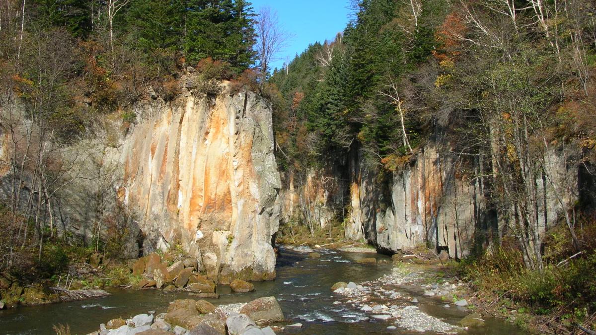 層雲峽大函的柱狀節理岩壁與石狩川，岸上樹林開始轉黃轉紅